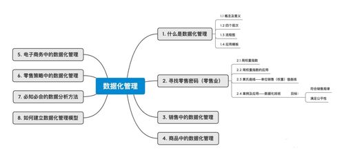 数据化管理 洞悉零售及电子商务运营